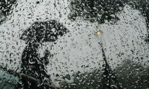 Разумков прогнозує провал голосування за Великий герб