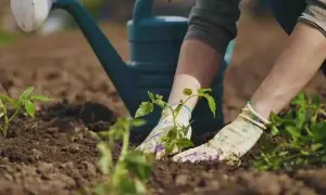 СБУ викрила на махінаціях з донорством екс-заступника очільника МОЗ