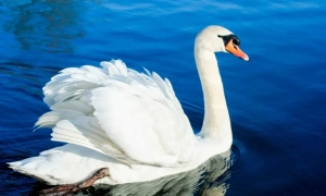 На Донеччині відправили до в'язниці кількох агентів рф