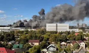 Партизаны Мелитополя подорвали соратника Кивы