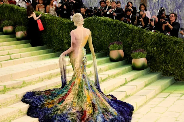 На Met Gala 2026 Емма Чемберлен перетворила моду на живопис