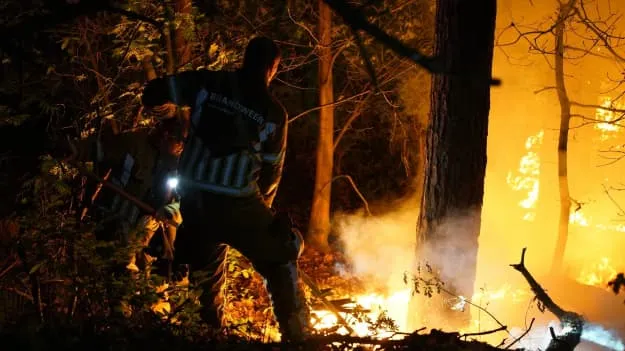 У Нідерландах масштабні пожежі охопили військові полігони