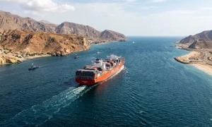 У Нідерландах прокуратура покарала компанії та фахівців, що брали участь у будівництві Кримського мосту 