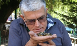 Фото, відео: під Львовом загорівся хімзавод