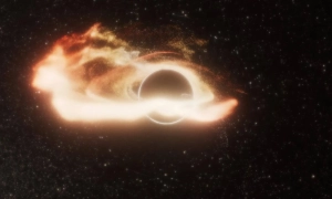 Відомий виконавець вирішив іти у президенти США