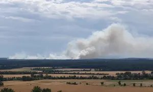 Видео: Налет украинских дронов на Wildberries нанес россиянам предварительный ущерб в $1,3 млрд