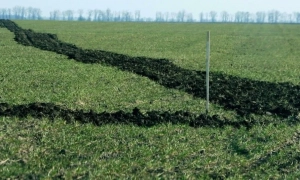 Прокуратура взялася за ресторан на прибережній землі в Києві