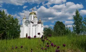 У Брюсселі демонтували вітраж у соборі із антисемітським сюжетом