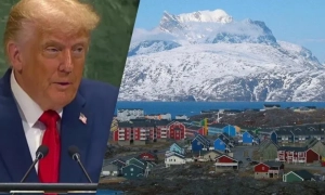 Після скандального звіту про ЗСУ з Amnesty International пішов один з високопосадовців 