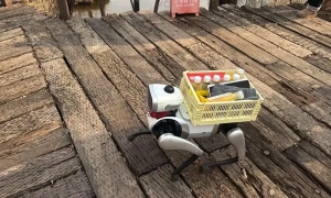 NASA побудує величезний радіотелескоп всередині місячного кратера