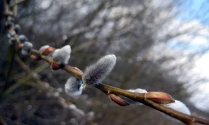 Резніков: Перетворюємо Міноборони на Міністерство контрнаступу