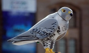 Дочка Путіна та мільярдер Потанін створюють дистанційно керованих голубів