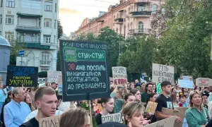 Представитель Кабмина в Раде написала заявление и назвала причину