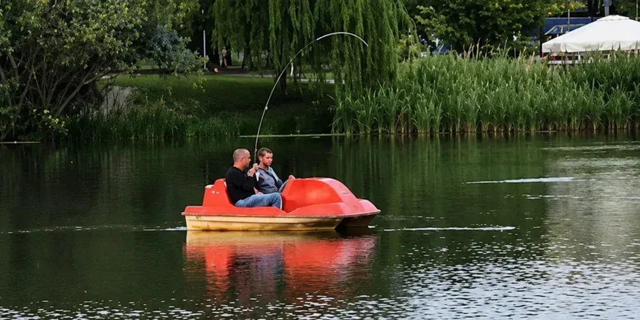 В Польше исчез легендарный сом из городского озера