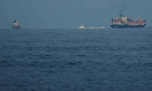 Киянку помилково внесли до військового обліку та оголосили в розшук