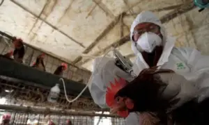 Вибори президента Чехії: в хід пішли брудні маніпуляції на тему війни