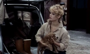 Ізраїль ймовірно ліквідував голову армії Ірану та високопоставлених вчених-ядерників