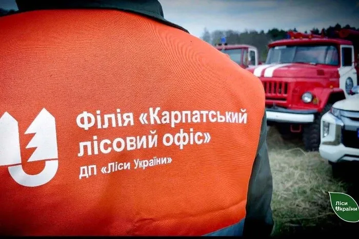 Слідство заявило про махінації у філії Лісів України