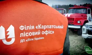 Україна та Чехія підписали декларацію про створення Центру єдності