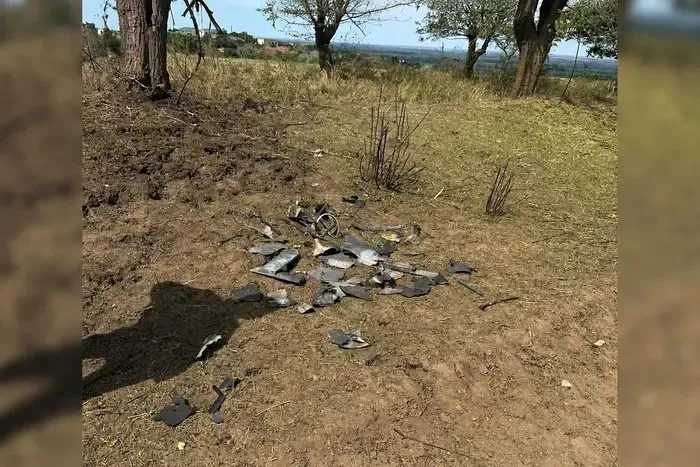 Sandu Blamed Russia for the Crash of a Drone in Moldova