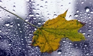 В мэрии рассказали, где будут транслировать Евровидение в Киеве