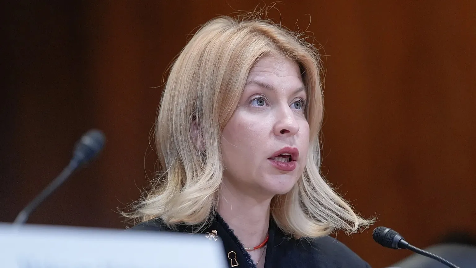 Stefanyishyna stated that she does not have the 6 million hryvnia bail
