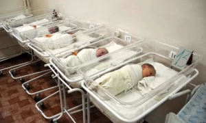 В Україні зафіксовано спалах пташиного грипу