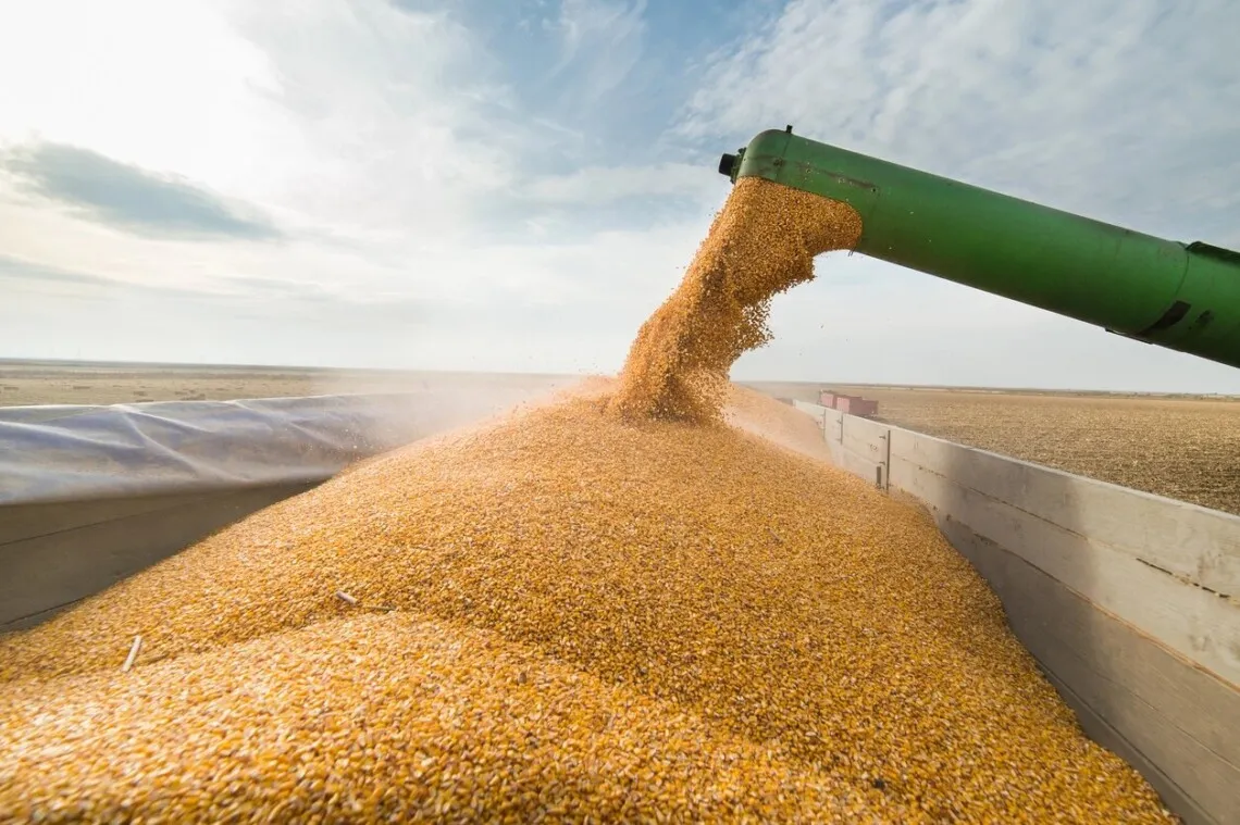 У липні експорт агропродукції з України впав майже на чверть