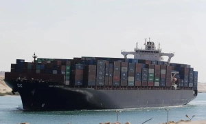 З Литви за новою програмою вилетів перший нелегальний мігрант з Іраку. Йому купили квитки та дали 300 євро