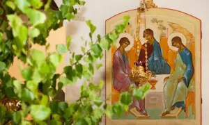 ДБР викрило на хабарі податківця на Кіровоградщині
