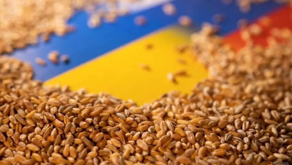 Ukrainian attacks on the Russian Navy have affected global grain prices