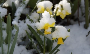 Богдан відновив ліцензію на адвокатську діяльність