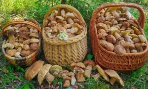 В Винницкой области неизвестные взорвали офицера полиции