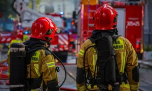 Ілон Маск назвав USAID злочинною організацією