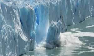 КНДР вперше підтвердила участь своїх військових у розмінуванні Курщини