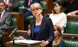 У Грузії чоловіка оштрафували за вивішений у парку російський прапор