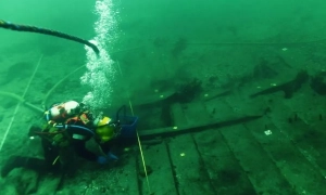 Відео: у Франції представили гібрид потяга і літака