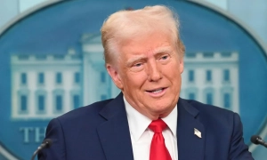 Восьминогам теж сняться кошмари — американські вчені