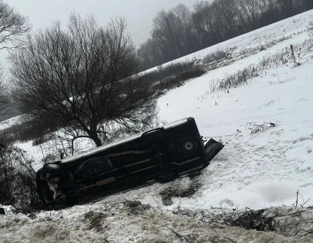 На Закарпатті перекинувся мікроавтобус із дітьми з Києва
