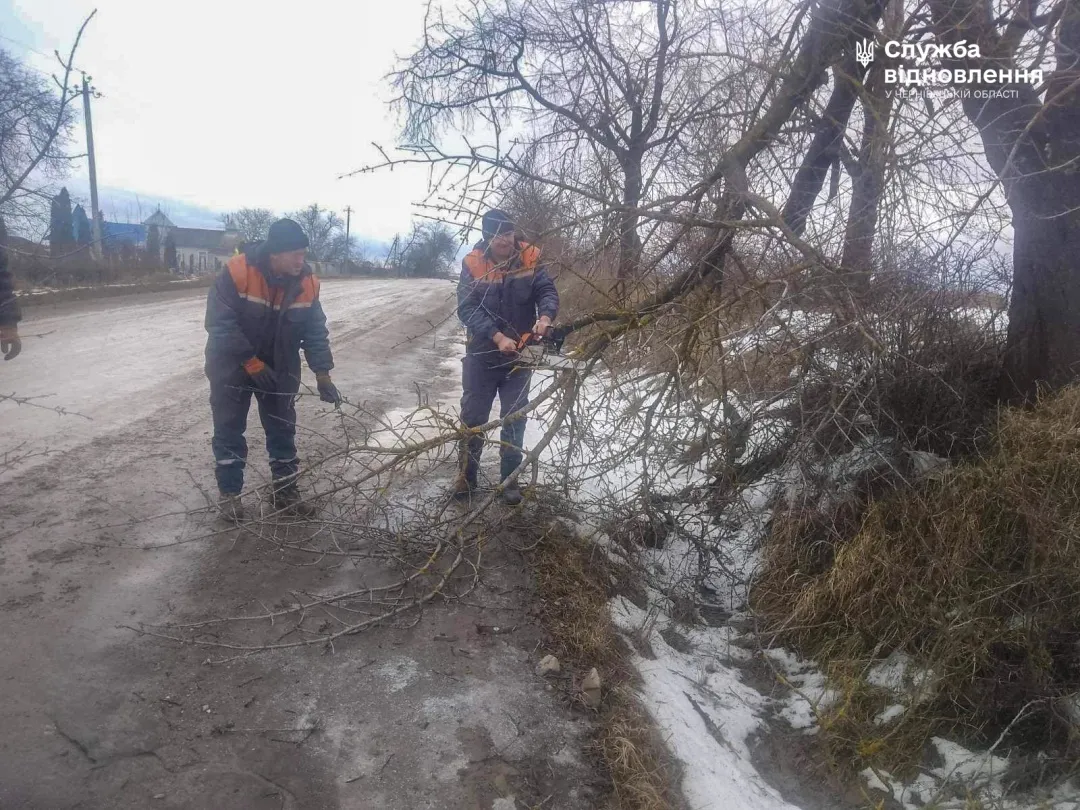 Фото: на Буковині буревій повалив десятки дерев