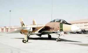 У МЗС Фінляндії оцінили можливість вступу країни до НАТО