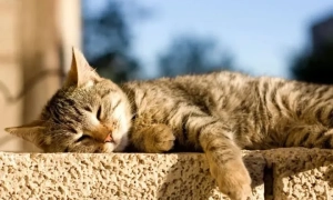 Фото: на Херсонщині відбулися навчання бойових плавців ЗСУ