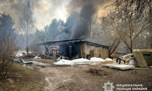 Повітряні сили збили більшість шахедів, запущених по Україні