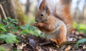 Російський поп пояснив війну нечистою силою та абортами
