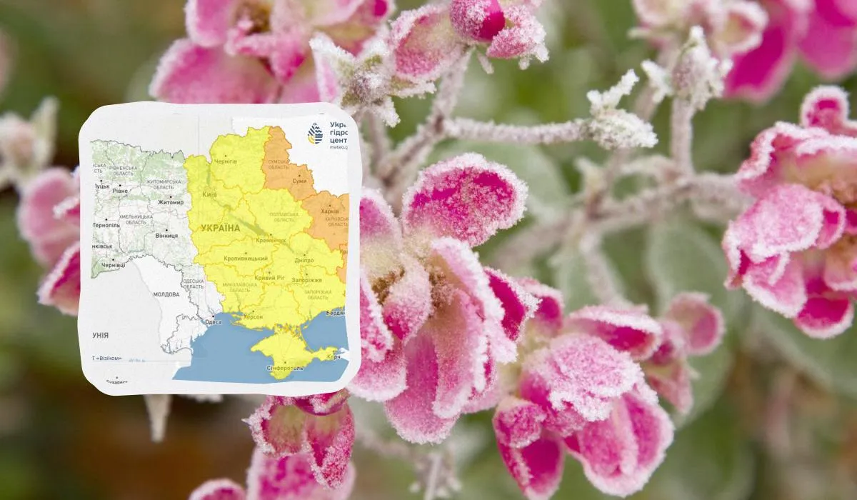 Вночі 24 квітня в Україну повертаються заморозки