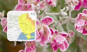 Потужний вітер повалив дерева та заблокував автошляхи у чотирьох областях України