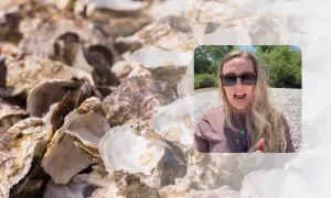 Фото, видео: в США в результате торнадо погибли 8 человек