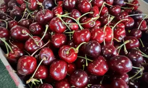 Экс-главу Госслужбы по делам ветеранов АТО подозревают в растрате более 20 миллионов