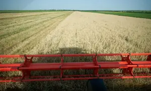 НБУ та ПриватБанк до Дня Незалежності розігрують пам’ятні монети: гроші підуть ЗСУ