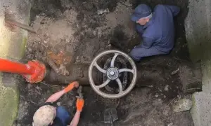 В Украине появится еще один праздник